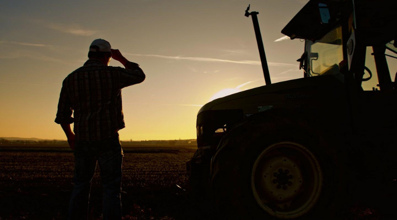 Read more about the article Cargill Inc.