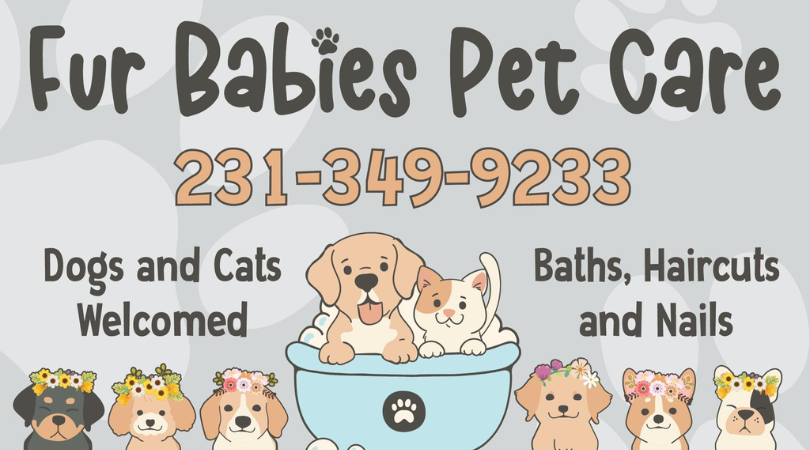 Read more about the article Fur Babies Pet Care