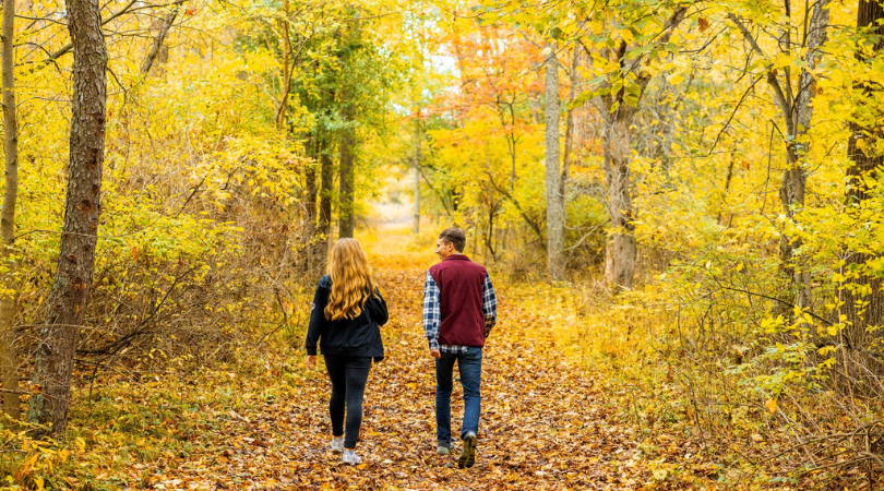 Read more about the article Mecosta County Convention & Visitors Bureau
