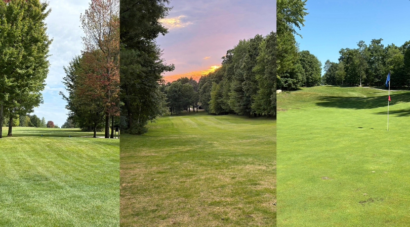 Read more about the article Intimidator Golf Club