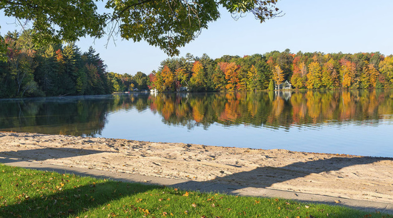 Read more about the article The Local Element Mid-Michigan